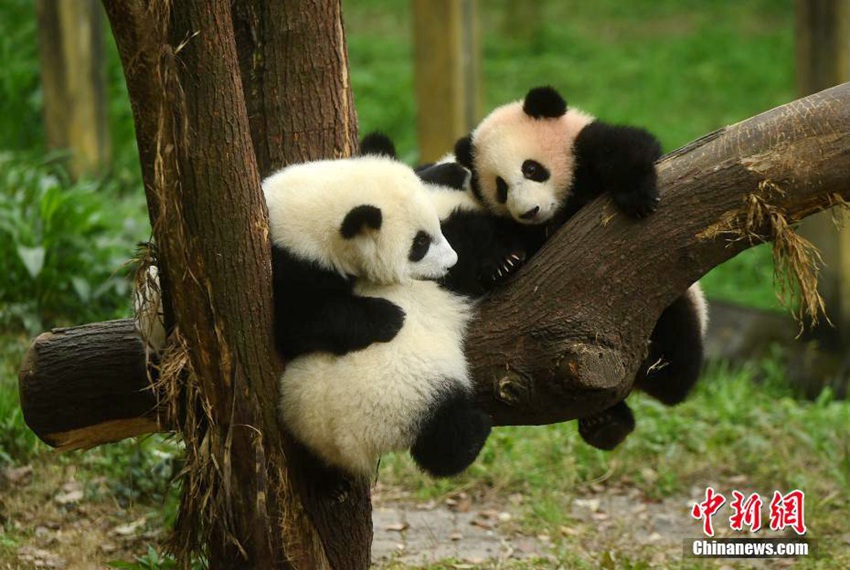 ?? ???? ?? ???, ?? ???? ?????!