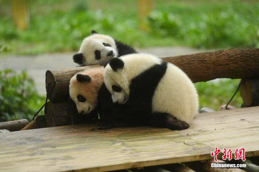 ?? ???? ?? ???, ?? ???? ?????!