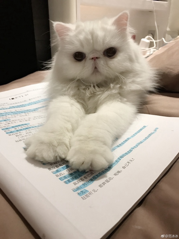 中韓 ???? ???? ?? ?? ???? ??? ??? ????, ??? ??? ??? ??? ??…