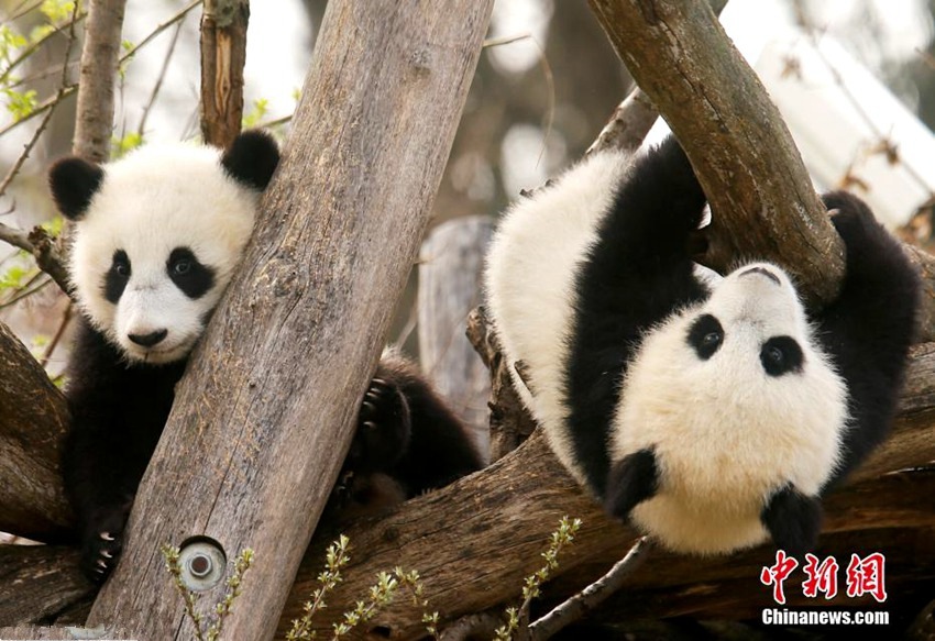 ????? ?? ??? ??: ?? ?? ??? ??? ???