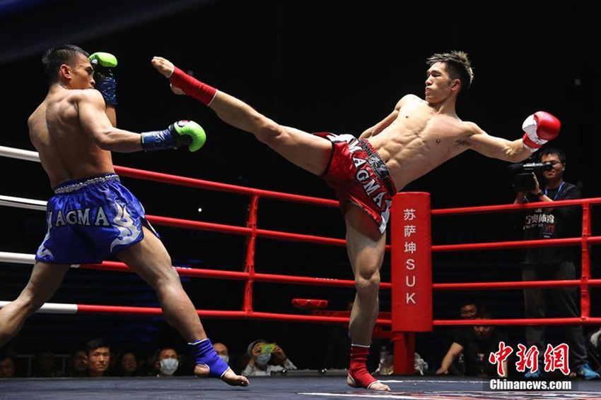 11?? ??? ??? ?? ???? ??, ?? ??? ??