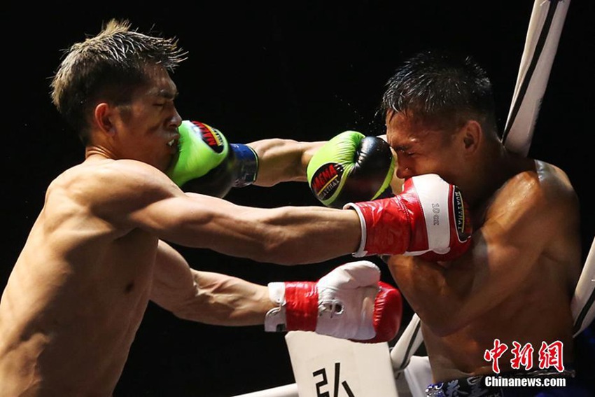 11?? ??? ??? ?? ???? ??, ?? ??? ??