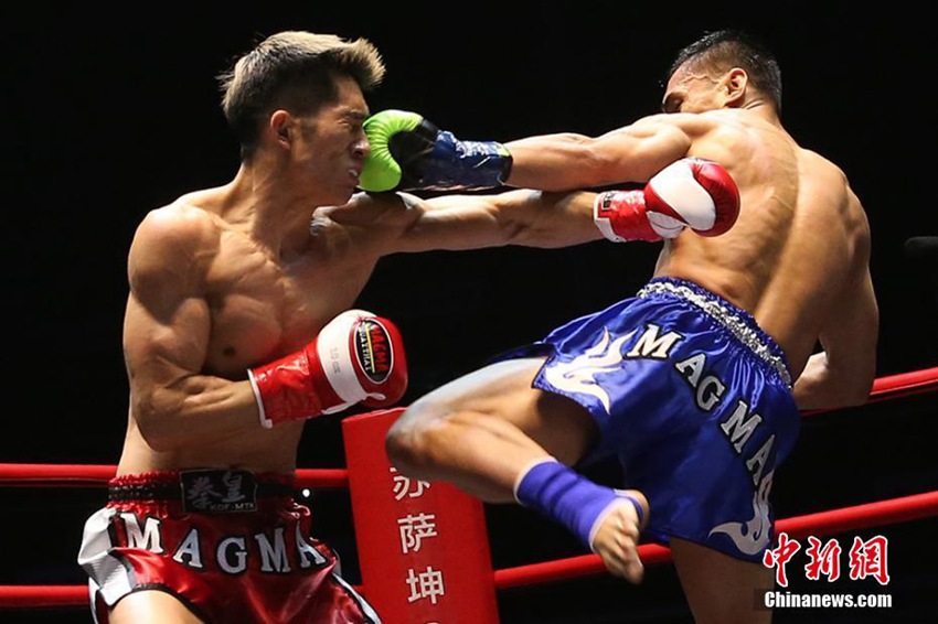 11?? ??? ??? ?? ???? ??, ?? ??? ??