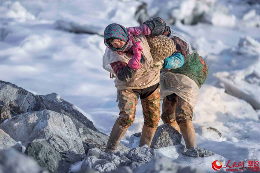 ‘??? ???’ ???? ???? ???? ??