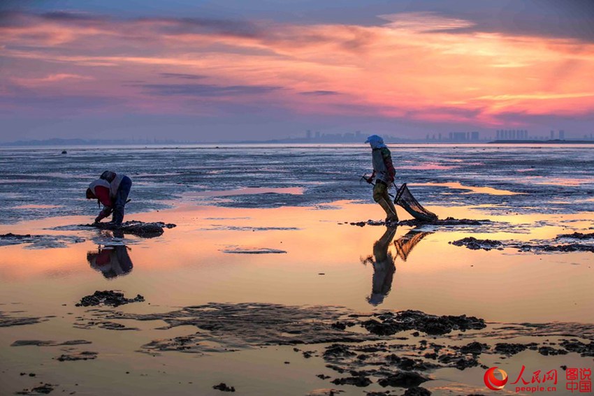 ‘??? ???’ ???? ???? ???? ??