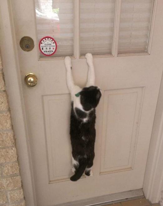 ????? ‘?’ ??, ??? ?? ??