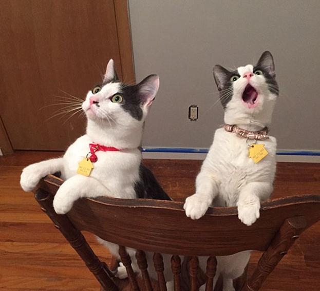 ????? ‘?’ ??, ??? ?? ??