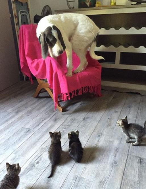 ????? ‘?’ ??, ??? ?? ??