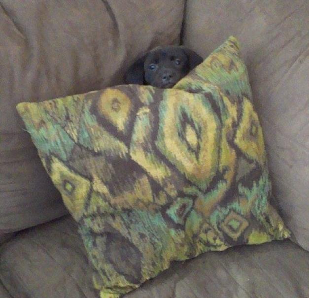 ????? ‘?’ ??, ??? ?? ??