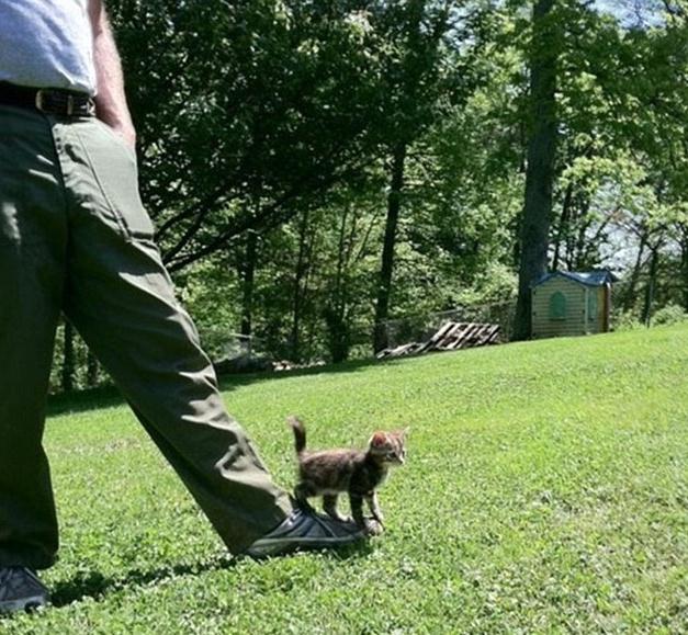 ????? ‘?’ ??, ??? ?? ??