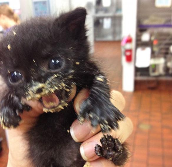 ????? ‘?’ ??, ??? ?? ??