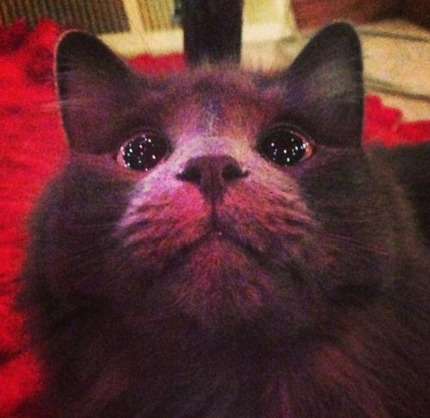 ????? ‘?’ ??, ??? ?? ??