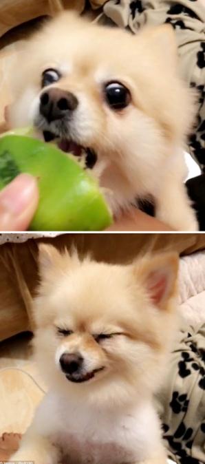 ????? ‘?’ ??, ??? ?? ??