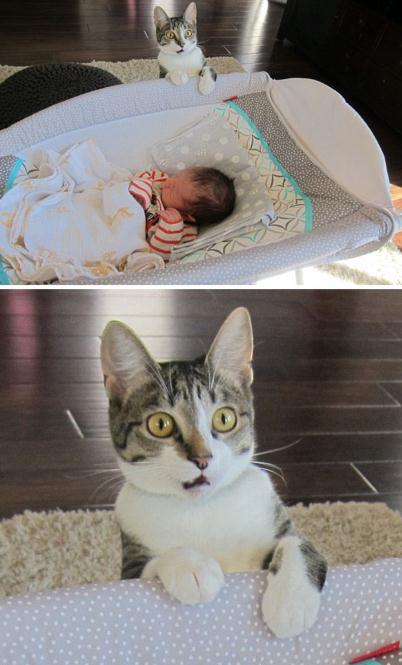 ????? ‘?’ ??, ??? ?? ??