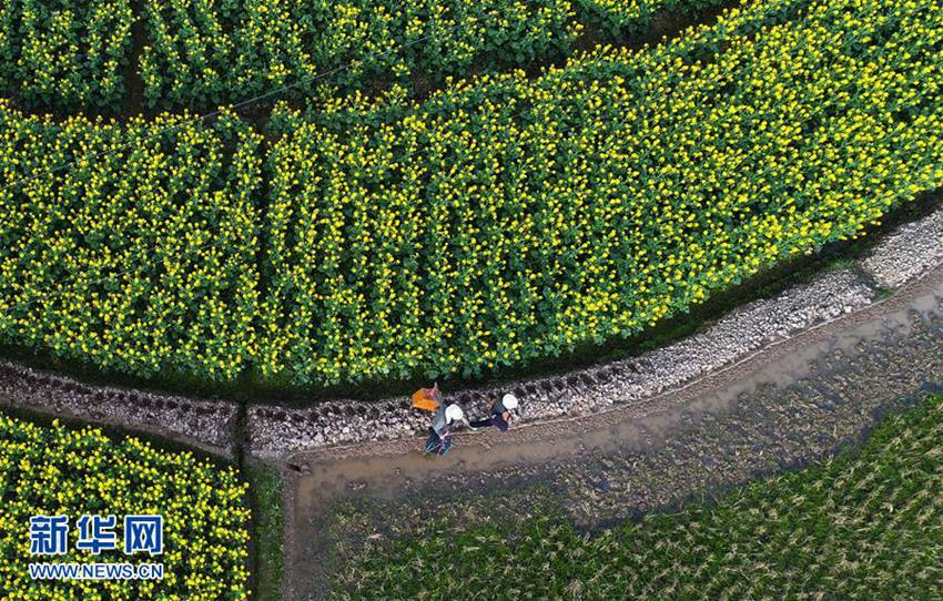 ?? 父子? ‘??? ???’, ??? ????? ??? ??? 20?