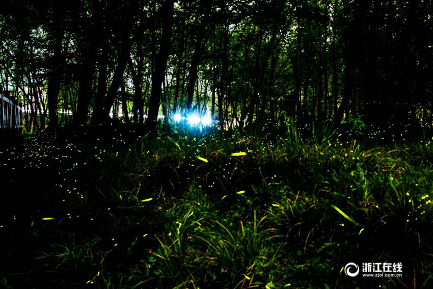 ??? ? ????? ‘????’, ?? ??? ????? ??? ??