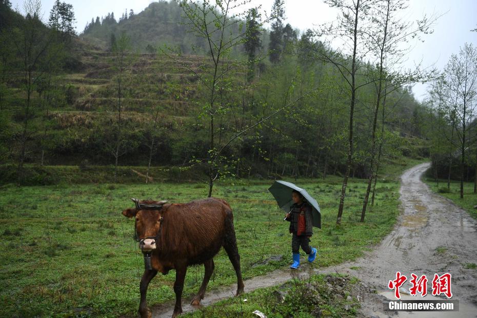 ?? ????? ‘??’ ???, 87? ???? ??? ??