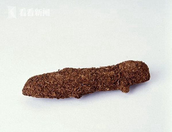 ???? ?? ???? 美? ??! ??? ?? ??, ??? ?????…