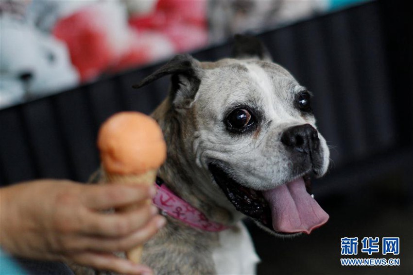 ???? ???! ???? ??? ????? ??? ??