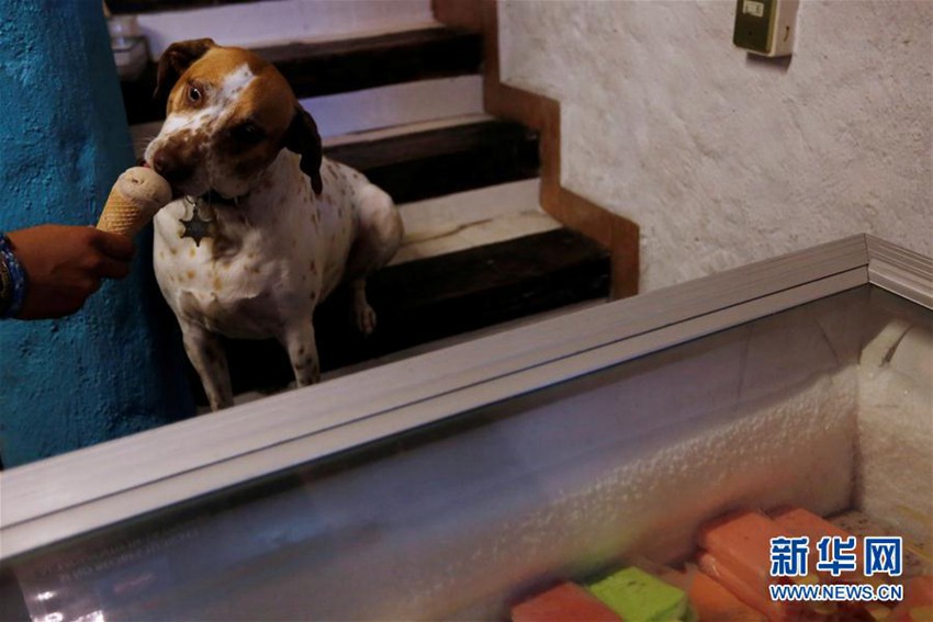 ???? ???! ???? ??? ????? ??? ??