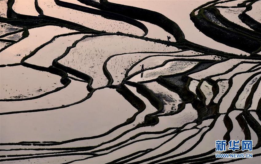 ??? ?? ??, ?? ?? ‘??? ?’? ??? ??