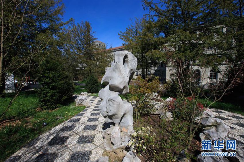 ??? WTO ??? ??? ?? ?? ‘????’