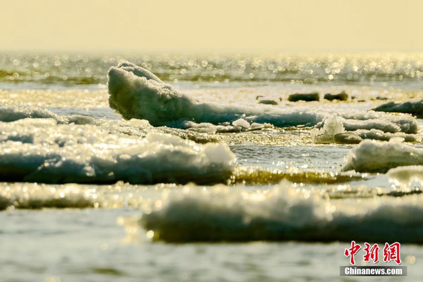 ?? ?? ??? ??? ??? ????, ????? ????