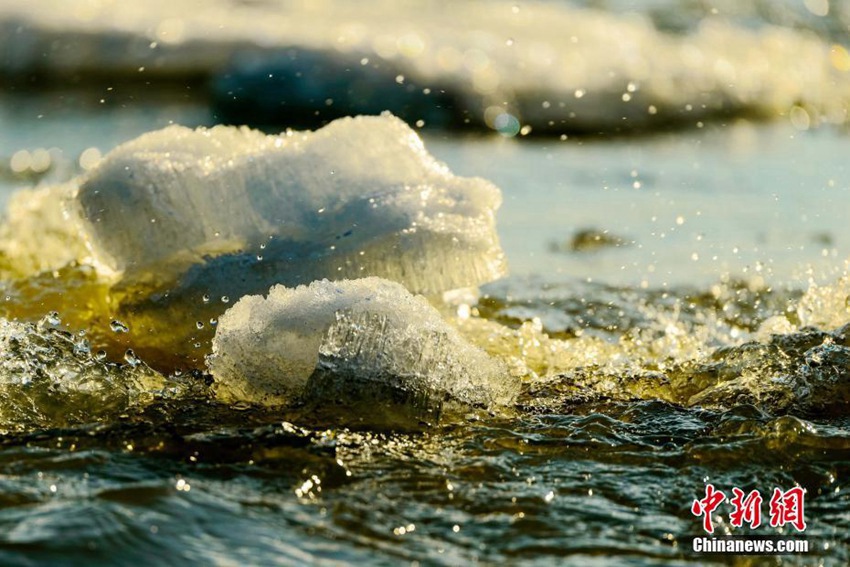 ?? ?? ??? ??? ??? ????, ????? ????