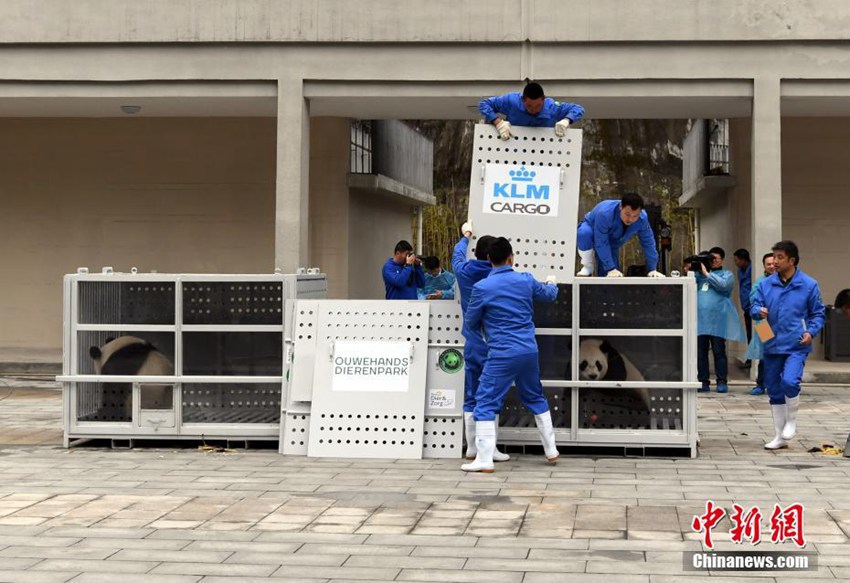 ????? ??? ?? ??! ?? ????? ?? ? ??