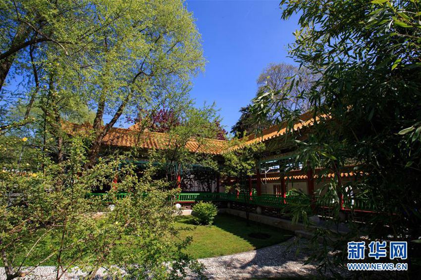 ??? WTO ??? ??? ?? ?? ‘????’