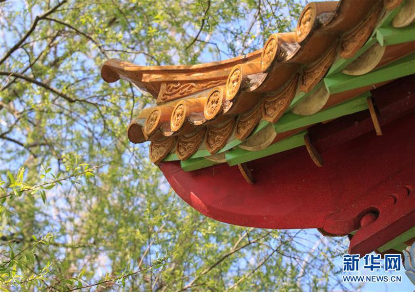 ??? WTO ??? ??? ?? ?? ‘????’