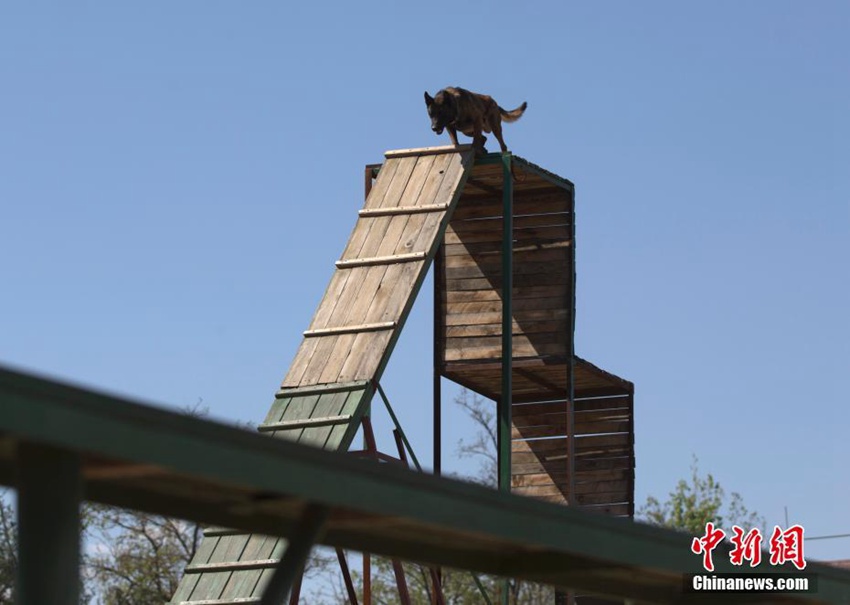 ?? ??? ???? ??? ??? ??, ??? ?? ???!