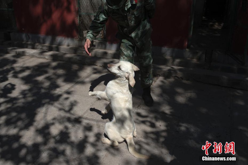 ?? ??? ???? ??? ??? ??, ??? ?? ???!