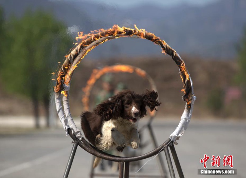 ?? ??? ???? ??? ??? ??, ??? ?? ???!