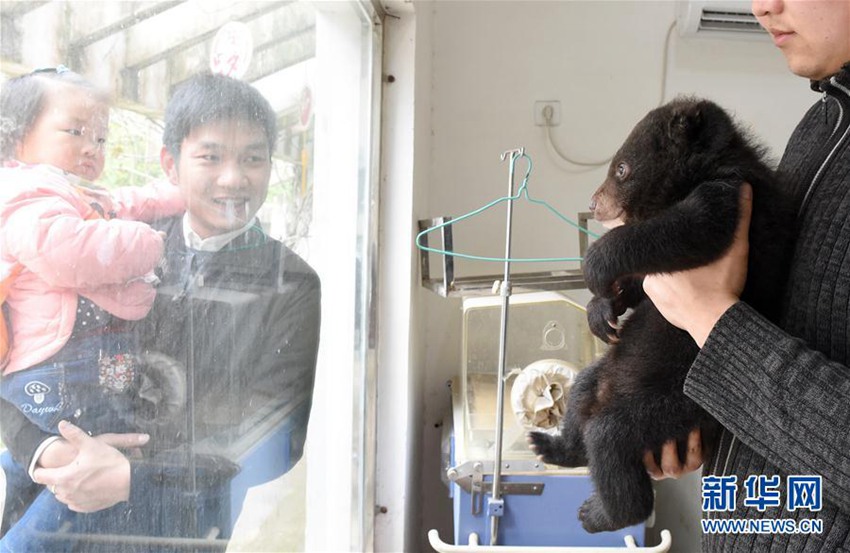 ?? ???? ??? ‘???’ ?????, ????? ???