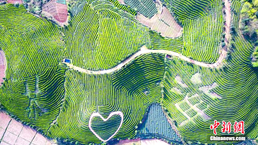 ???? ?? ??? ??? ?? ‘??? ?’, ??? ?? ??