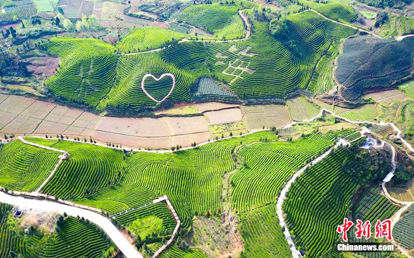 ???? ?? ??? ??? ?? ‘??? ?’, ??? ?? ??