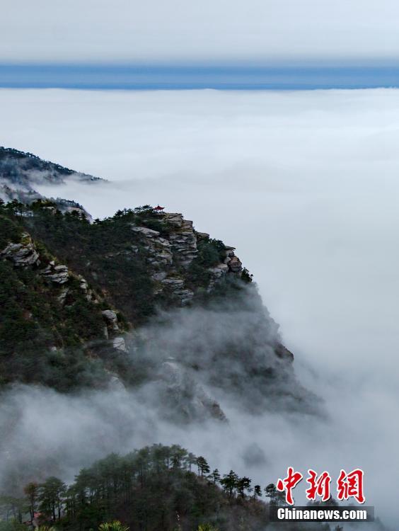 ?? ?? ?? ?? ???? ??, ?? ?? ??? ??