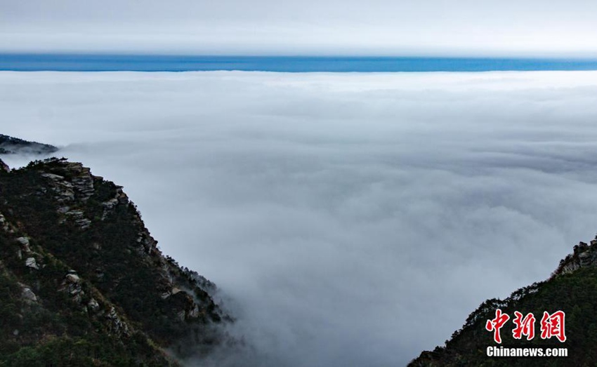 ?? ?? ?? ?? ???? ??, ?? ?? ??? ??