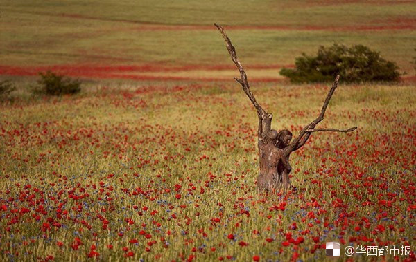 ?? ???! ?? ? ?? ?? ??? ?? ??