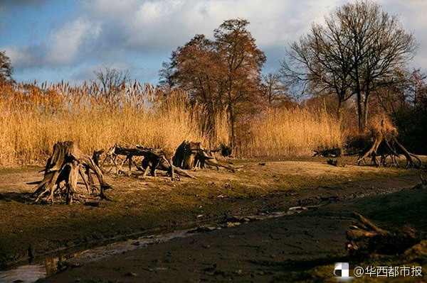 ?? ???! ?? ? ?? ?? ??? ?? ??