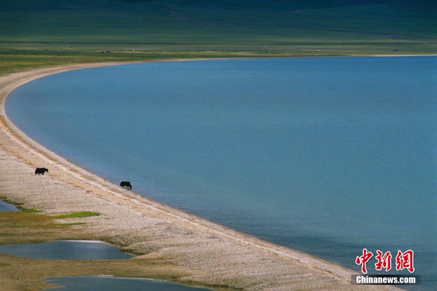 ???? ?? ??? ?? ‘??? ??’: ??? ?