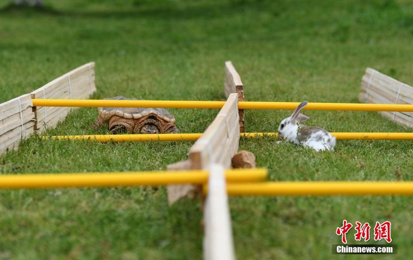 ?? ??? ??? ?? ????, ‘??VS??’ ?? ????