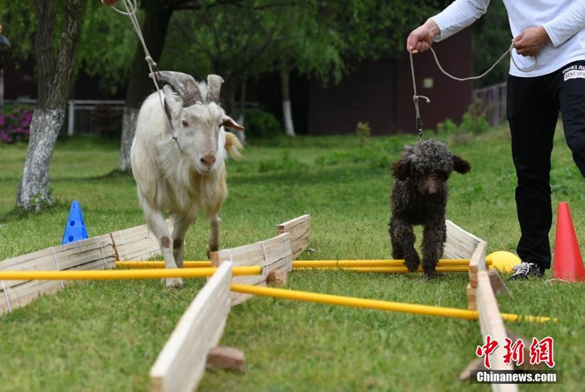 ?? ??? ??? ?? ????, ‘??VS??’ ?? ????