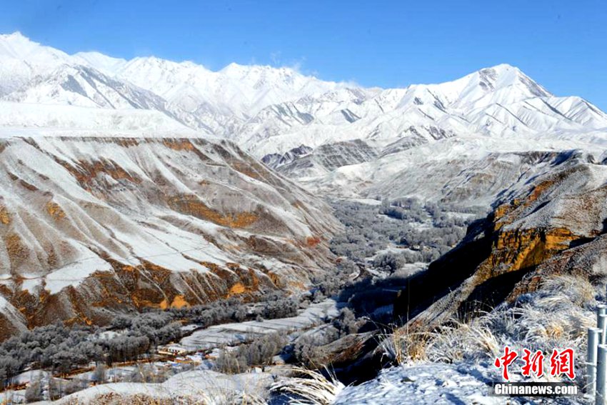 ?? ??? 4? ?? ??: ?? ??? ???? ??? ??