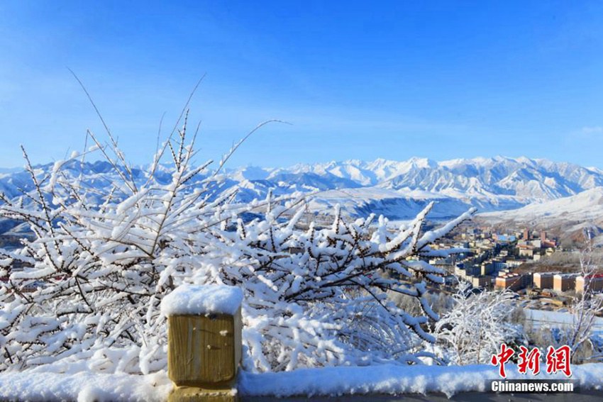 ?? ??? 4? ?? ??: ?? ??? ???? ??? ??