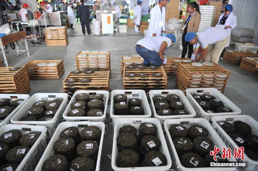 2017 ?? ??? ?? ????? ??