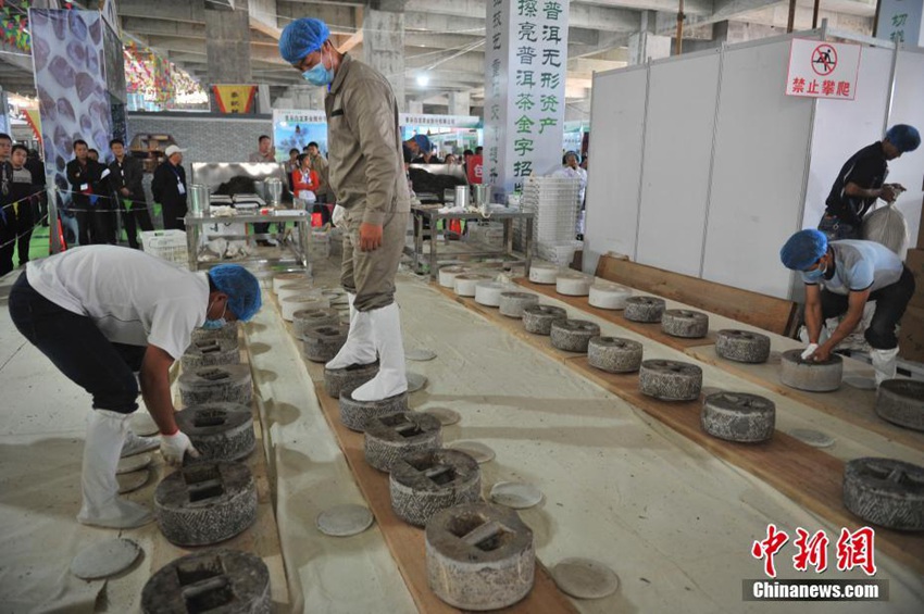 2017 ?? ??? ?? ????? ??