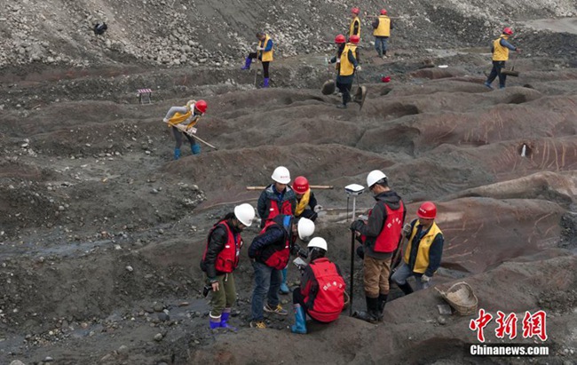 ?? ?? ‘????? ???’ ???? ??, ??? 3? ? ??!