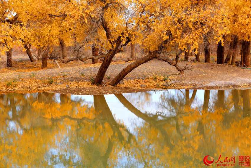 ‘????’ ? ??? ??? ??? ???? ?